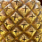 Goldener Ananas-Gartenpflanzer