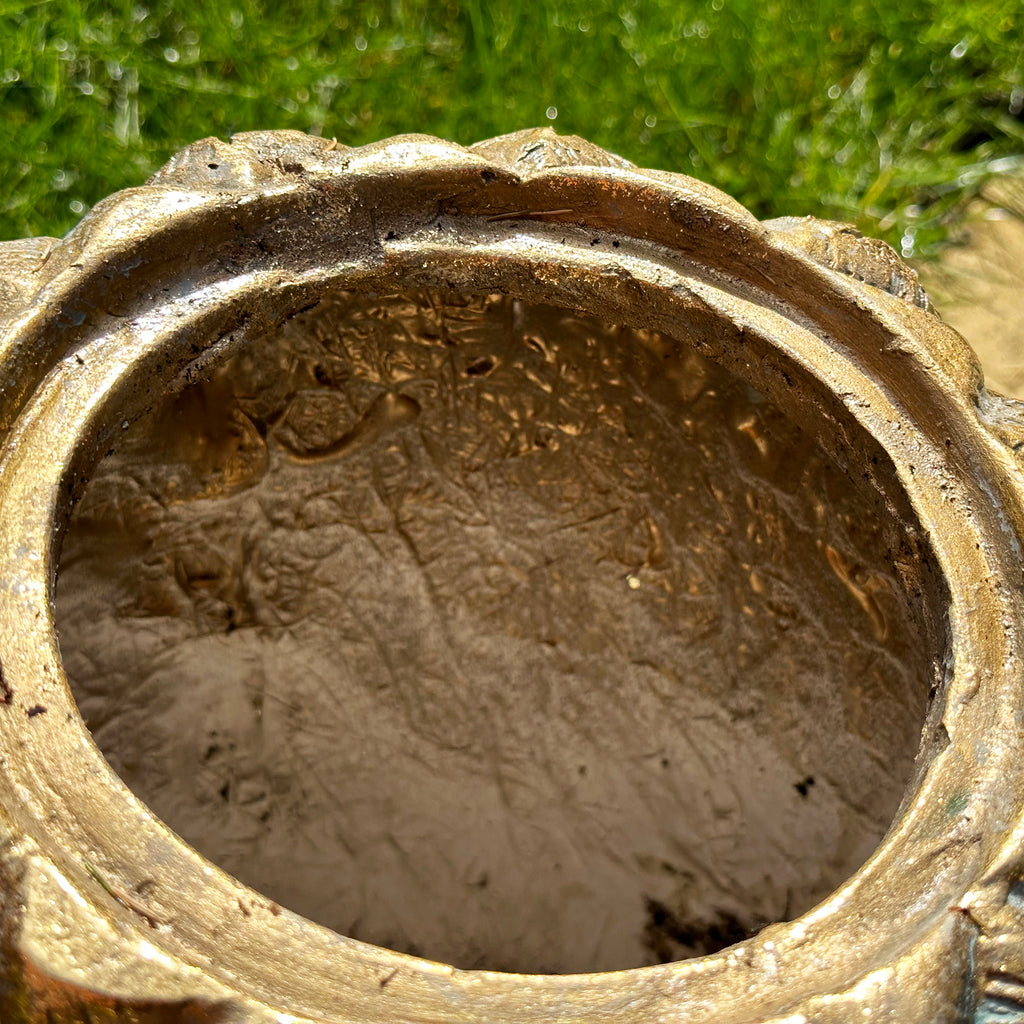 Goldener Ananas-Gartenpflanzer