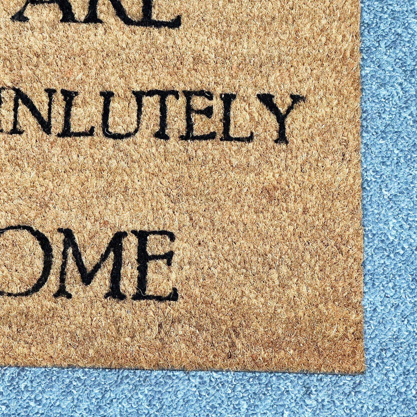 You Are Absof**kinlutely Welcome Coir Door Mat