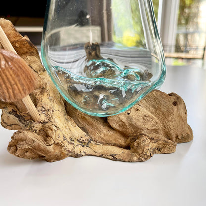 11 cm große Schüssel aus geschmolzenem Glas mit Wurzelständer aus Teakholz und Pilzen