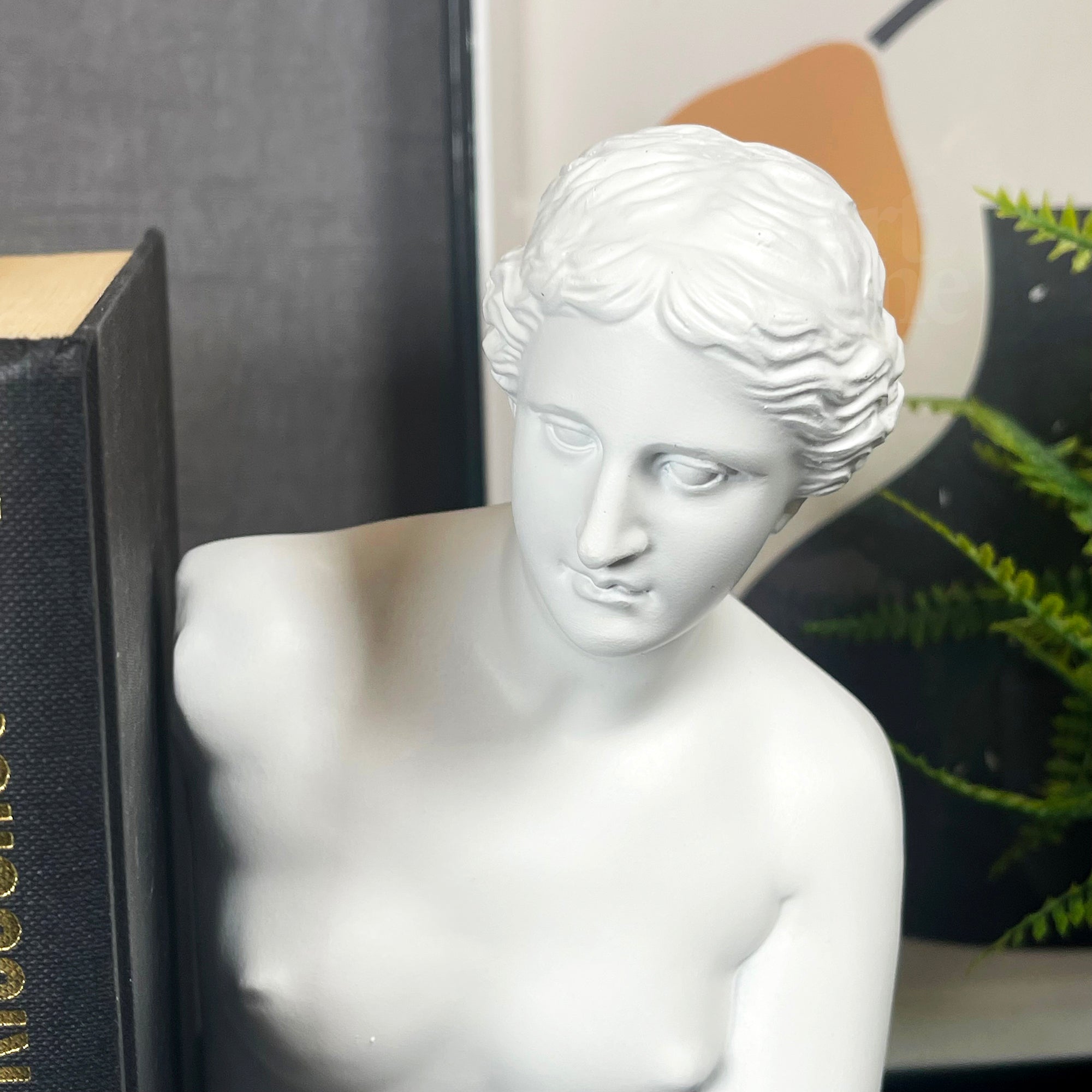 White Roman Goddess Venus Bookends Set