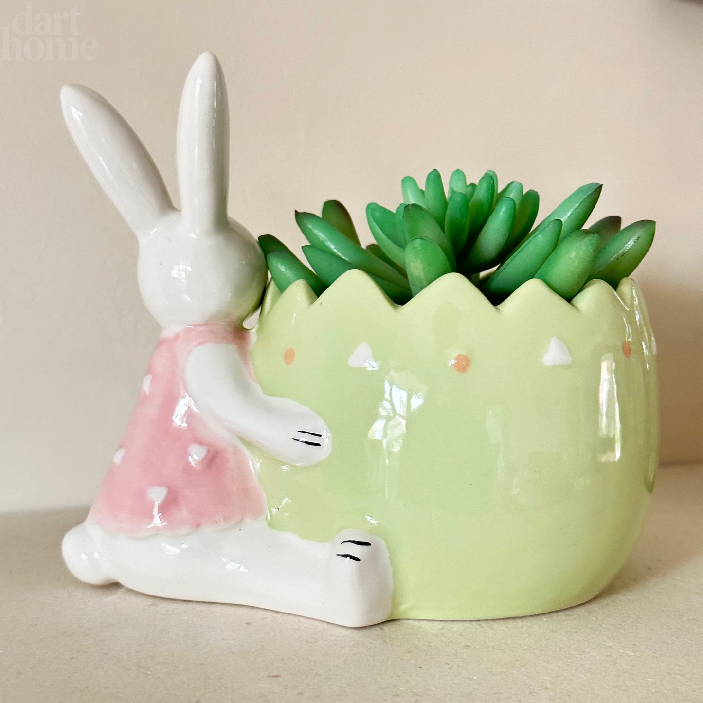 Easter Rabbit Succulent Pot