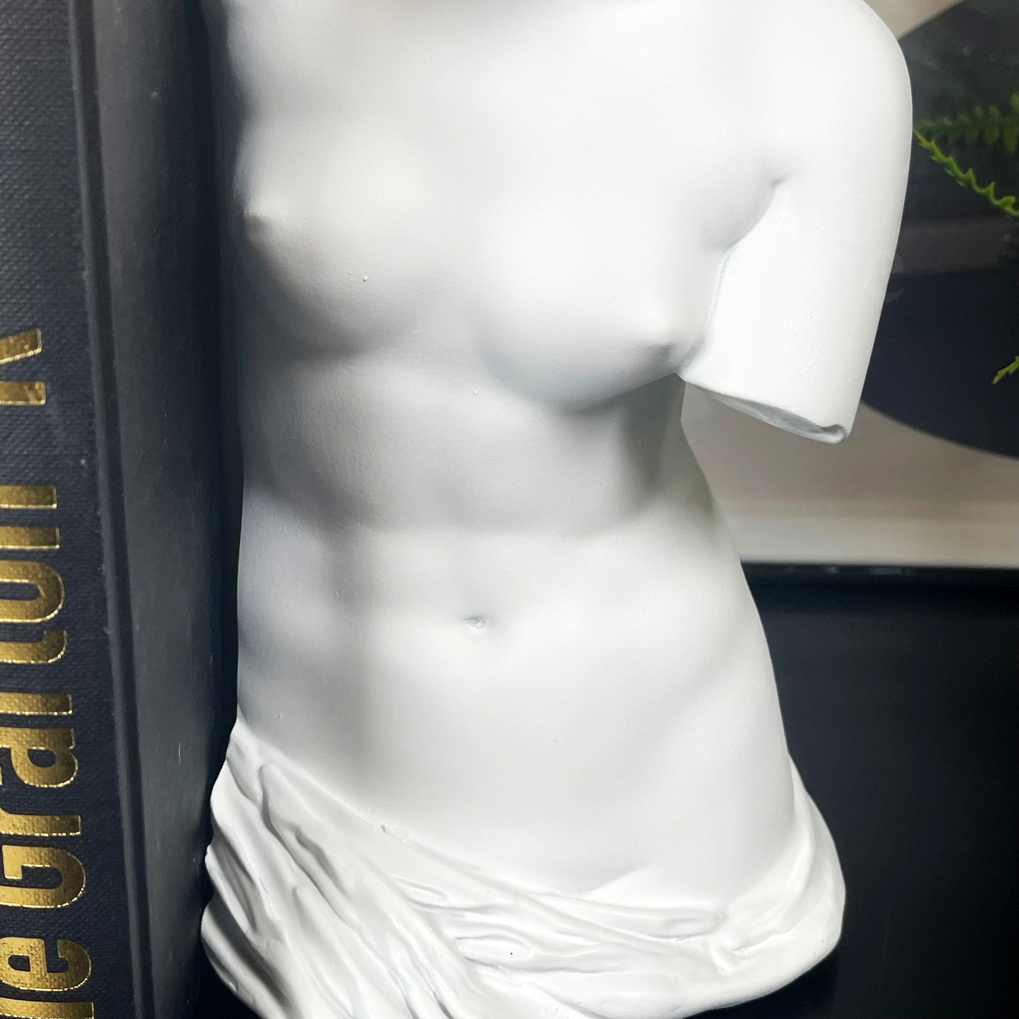 White Roman Goddess Venus Bookends Set
