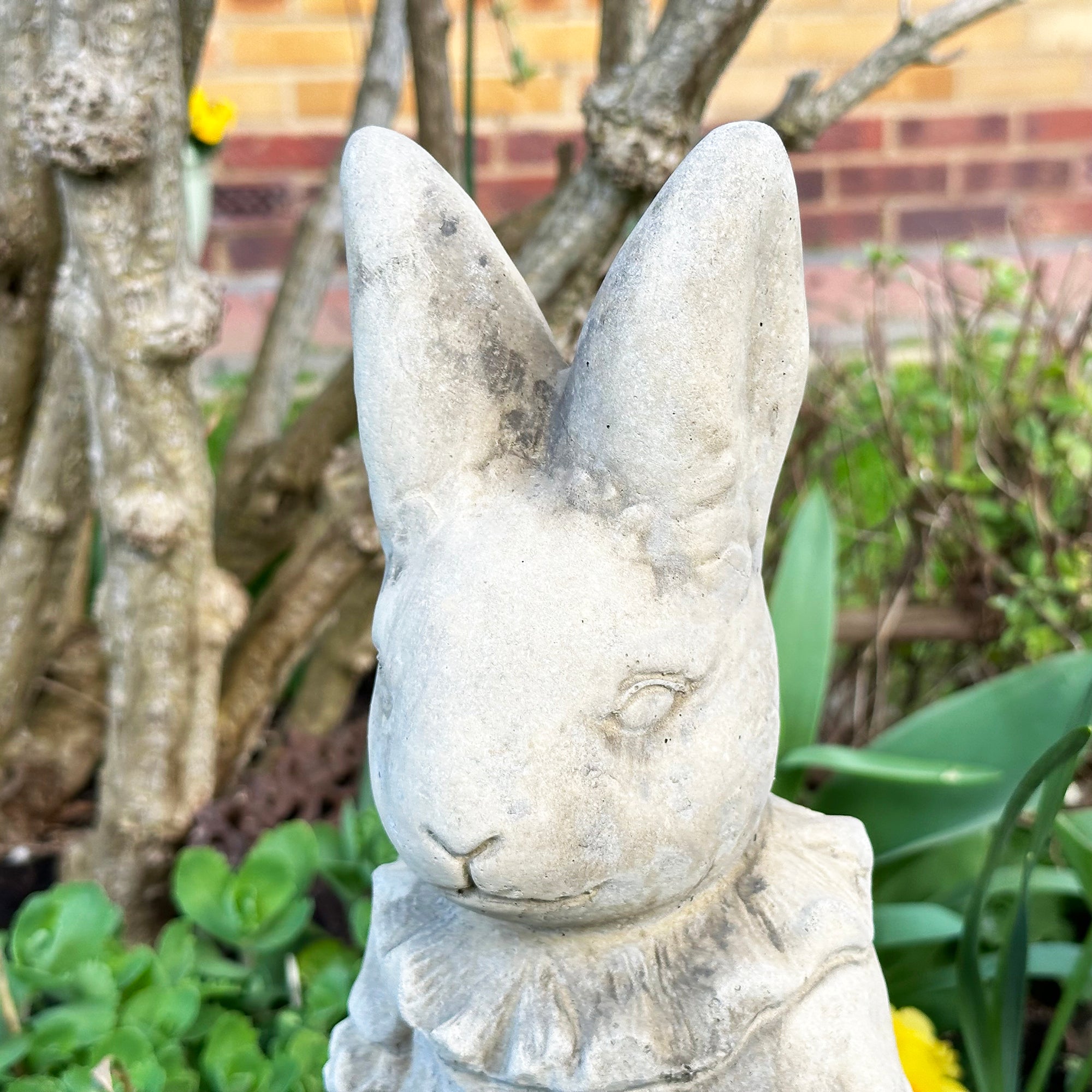 Stone Mr And Mrs Rabbit Garden Statues