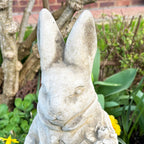 Stone Mr And Mrs Rabbit Garden Statues