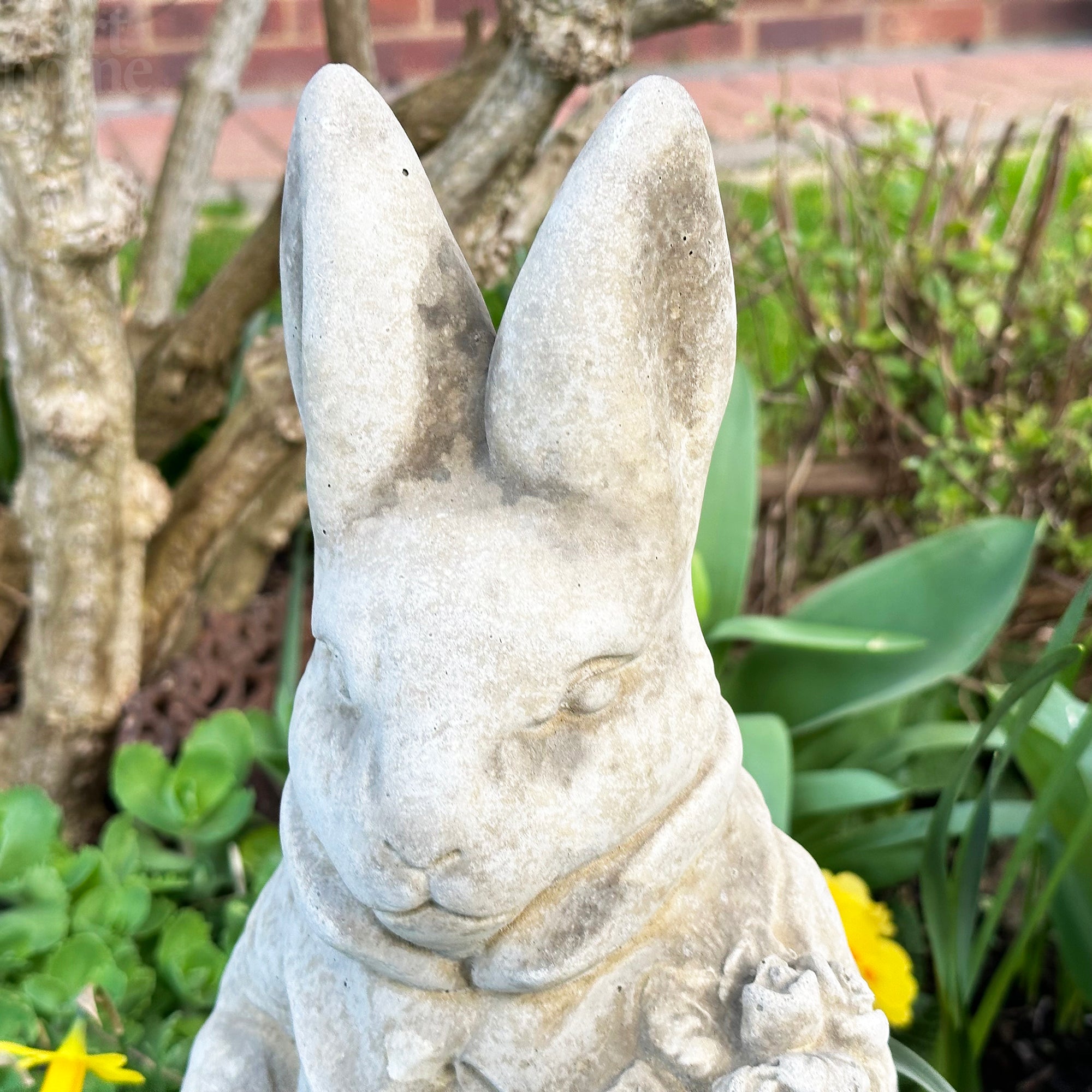 Stone Mr And Mrs Rabbit Garden Statues