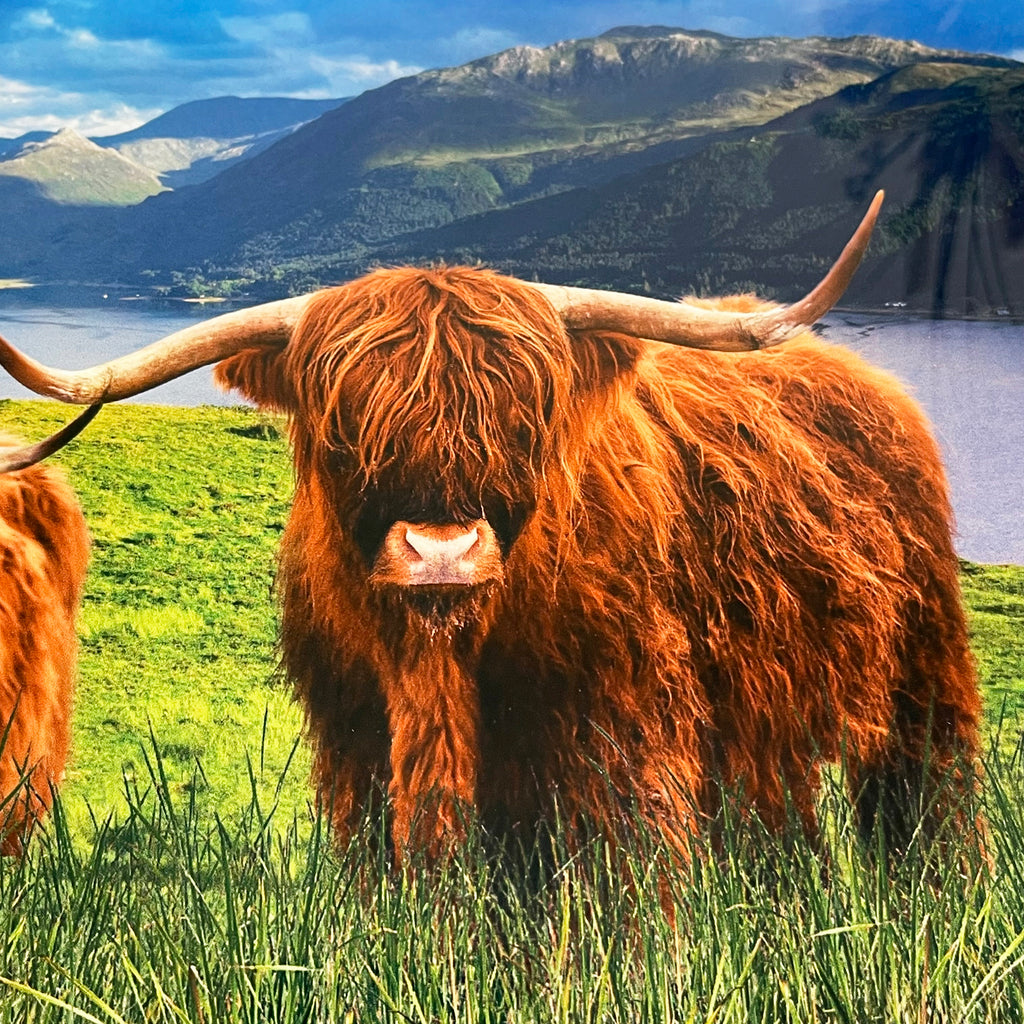 Highland Cows Glasschneidebrett