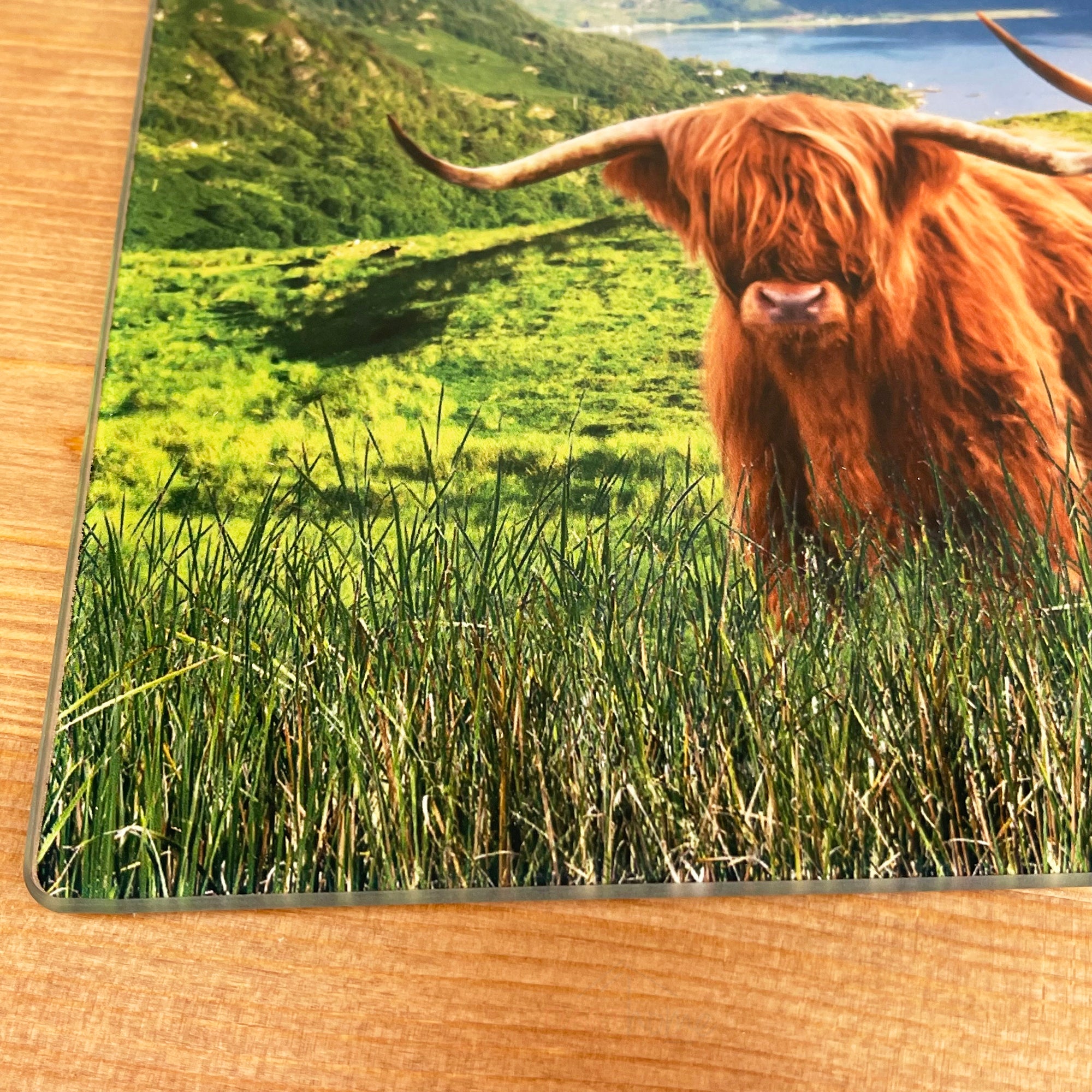 Highland Cows Glasschneidebrett