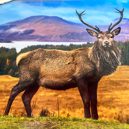 Large Stag Glass Chopping Board