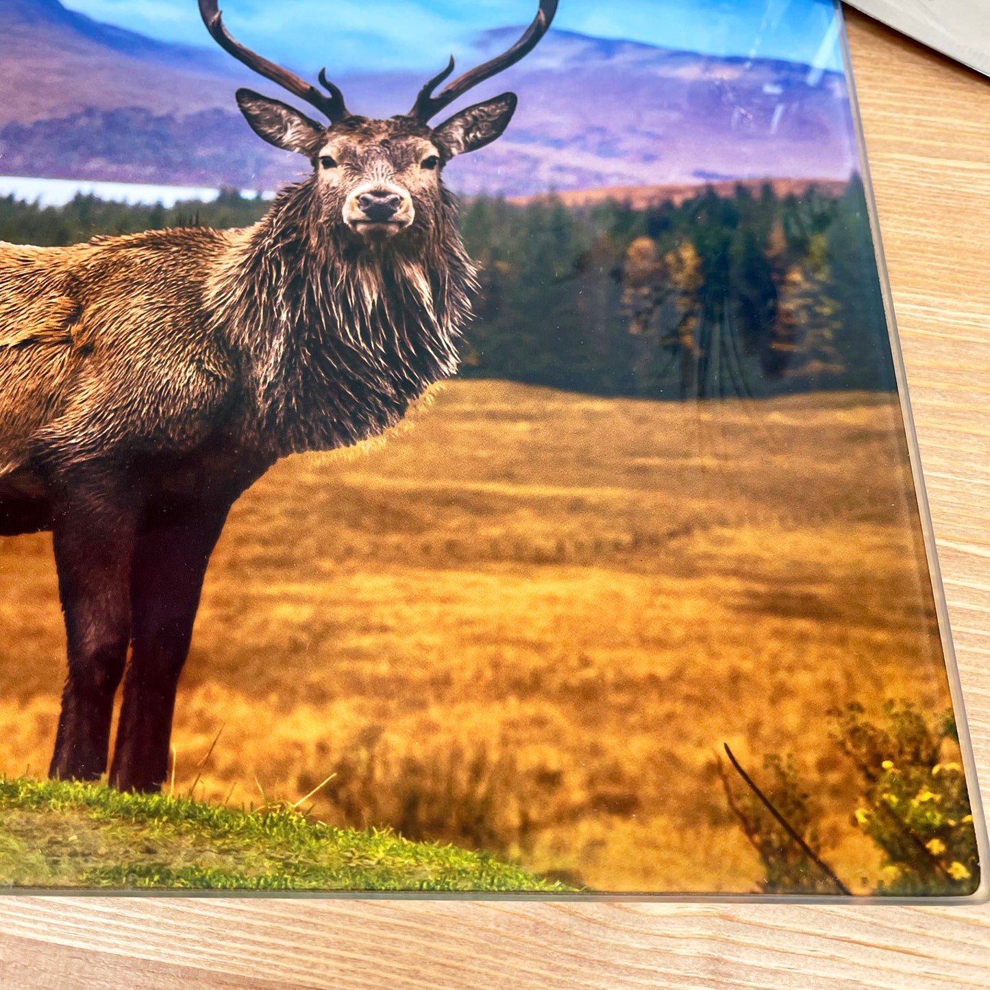 Large Stag Glass Chopping Board