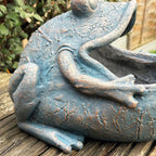 Bull Frog Garden Planter