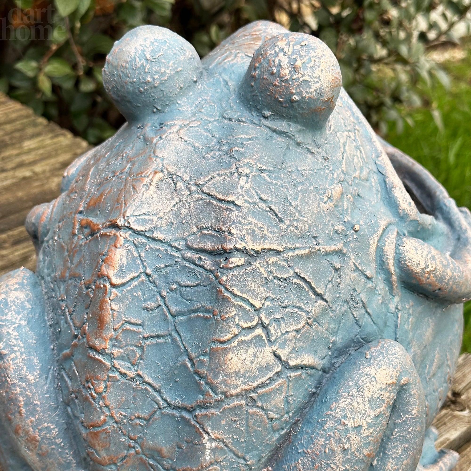 Bull Frog Garden Planter