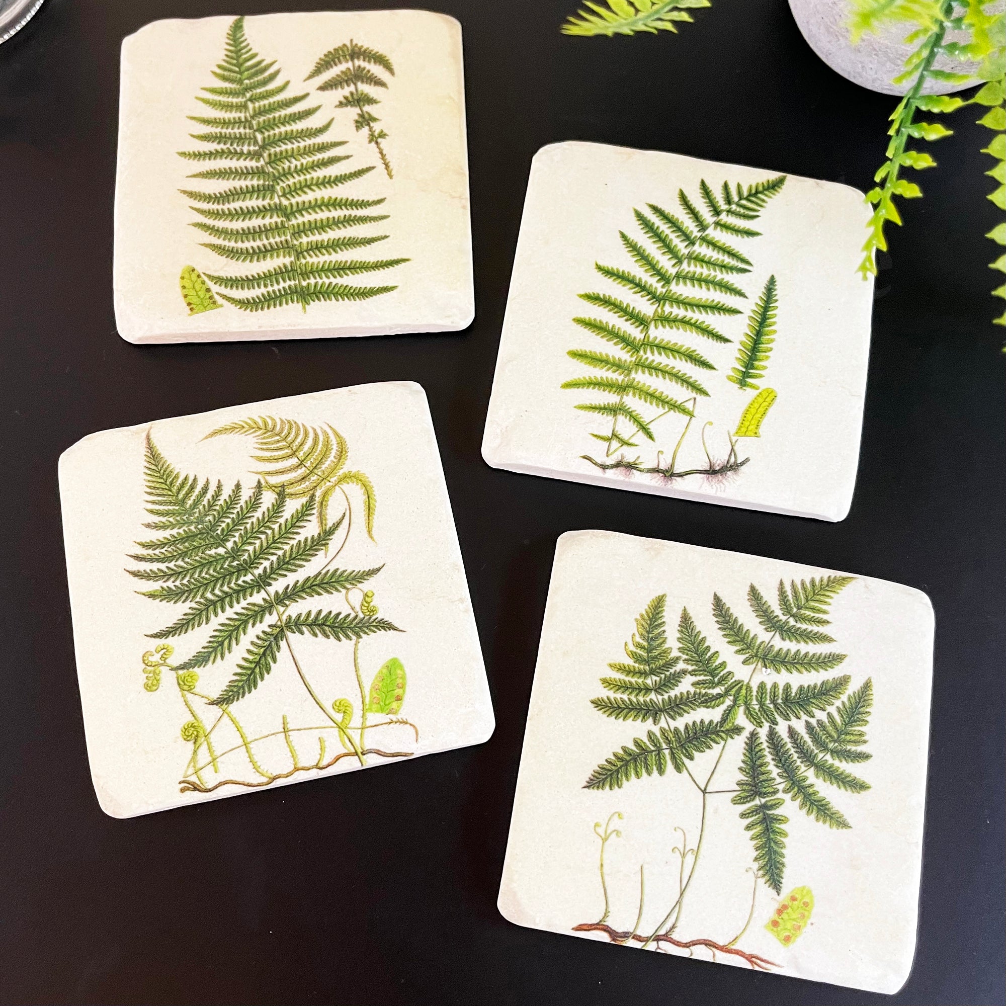 Set mit 4 Farn-Untersetzern aus Keramik