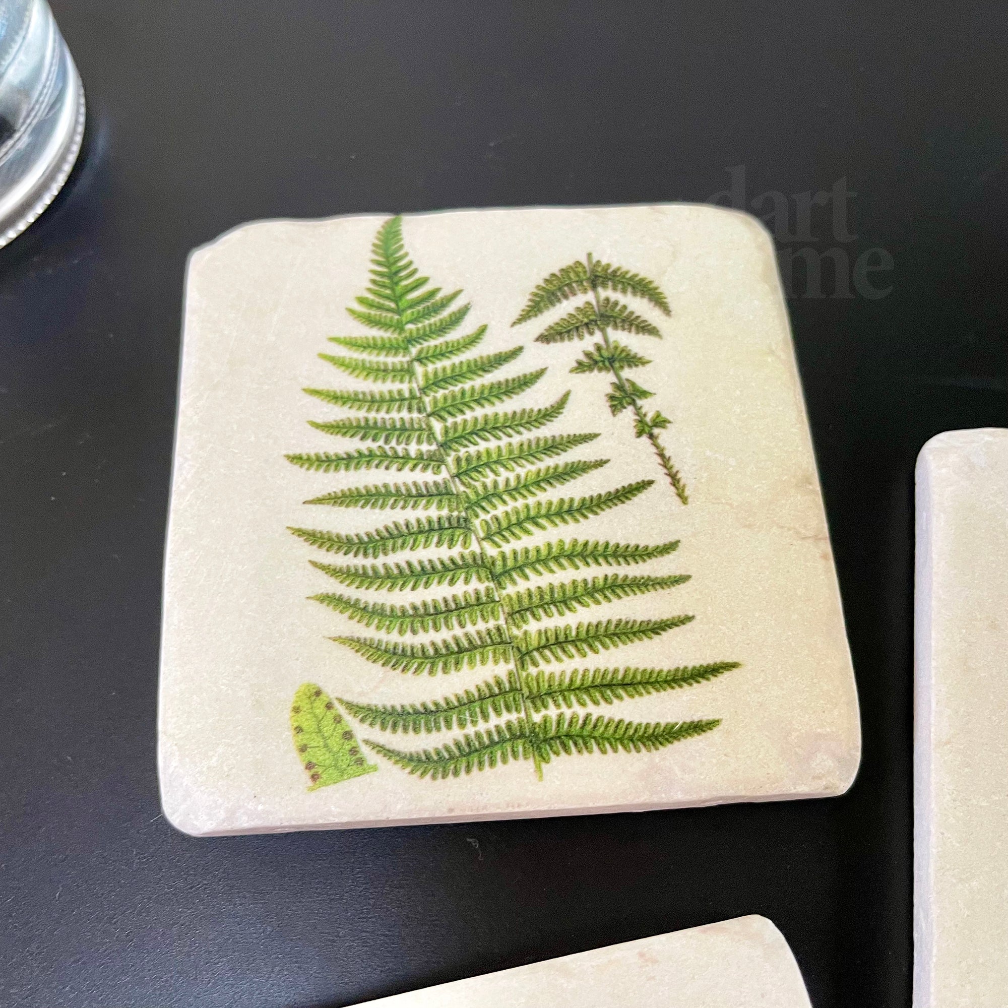 Set mit 4 Farn-Untersetzern aus Keramik