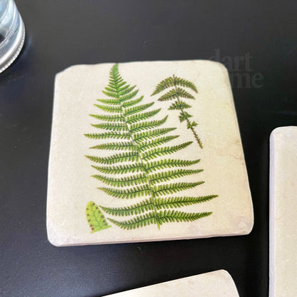 Set Of 4 Ceramic Fern Coasters