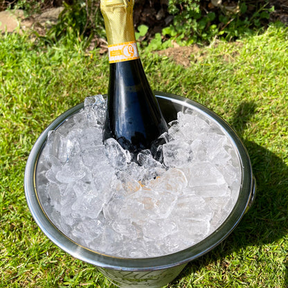 Save Water Drink Champagne Bucket
