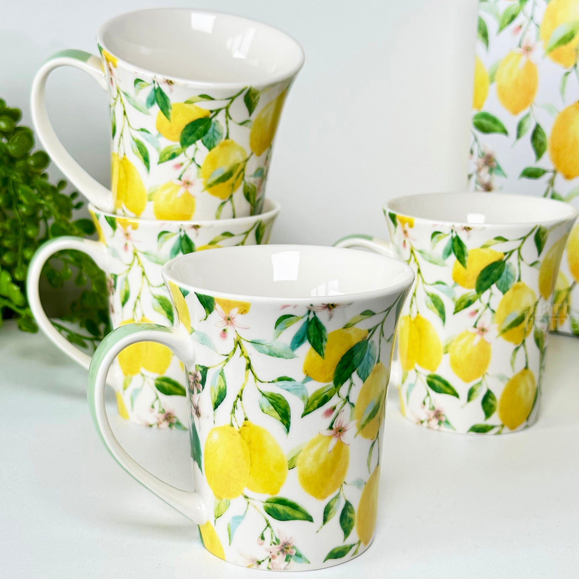 Set Of 4 Lemon Tree Mugs Gift Boxed