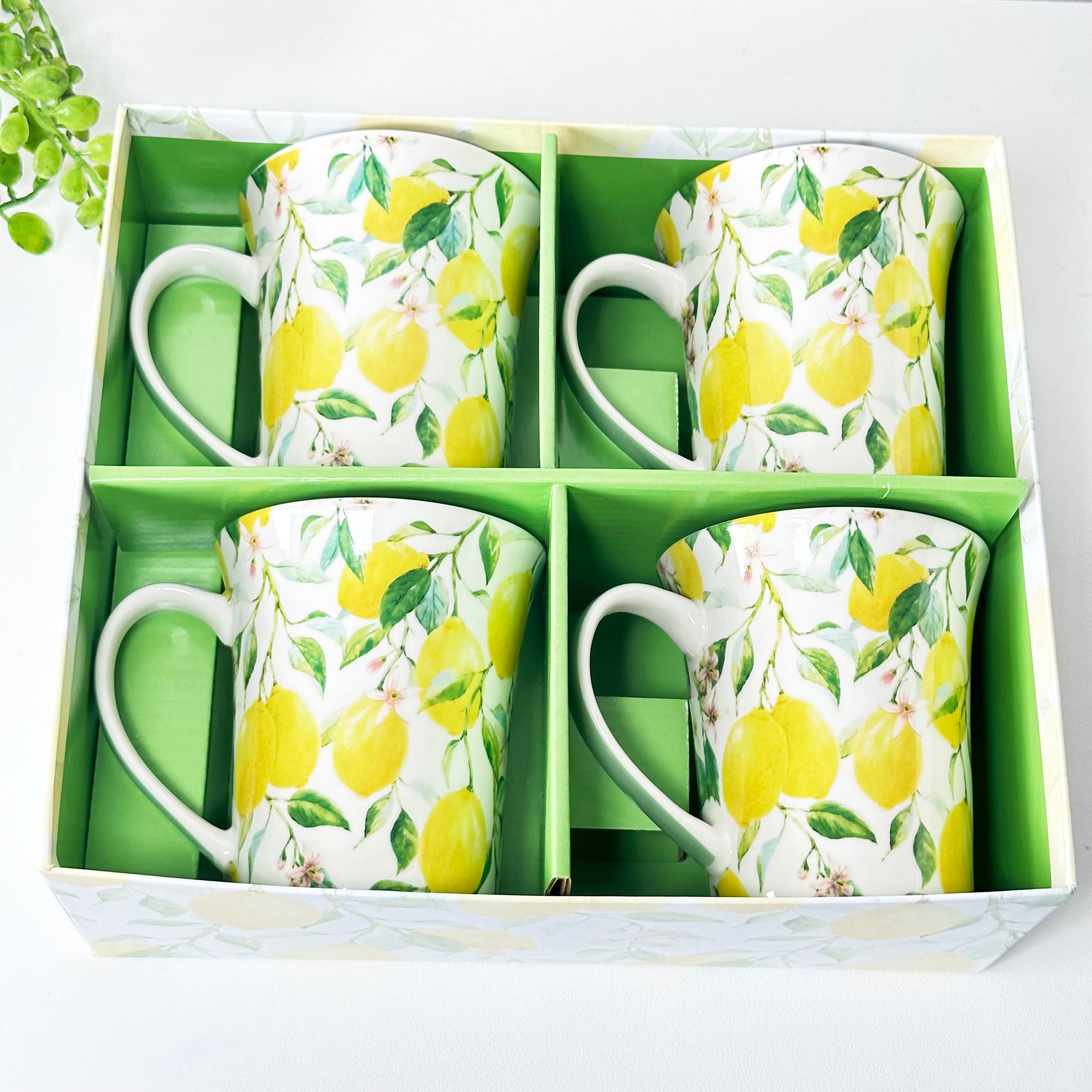 Set Of 4 Lemon Tree Mugs Gift Boxed