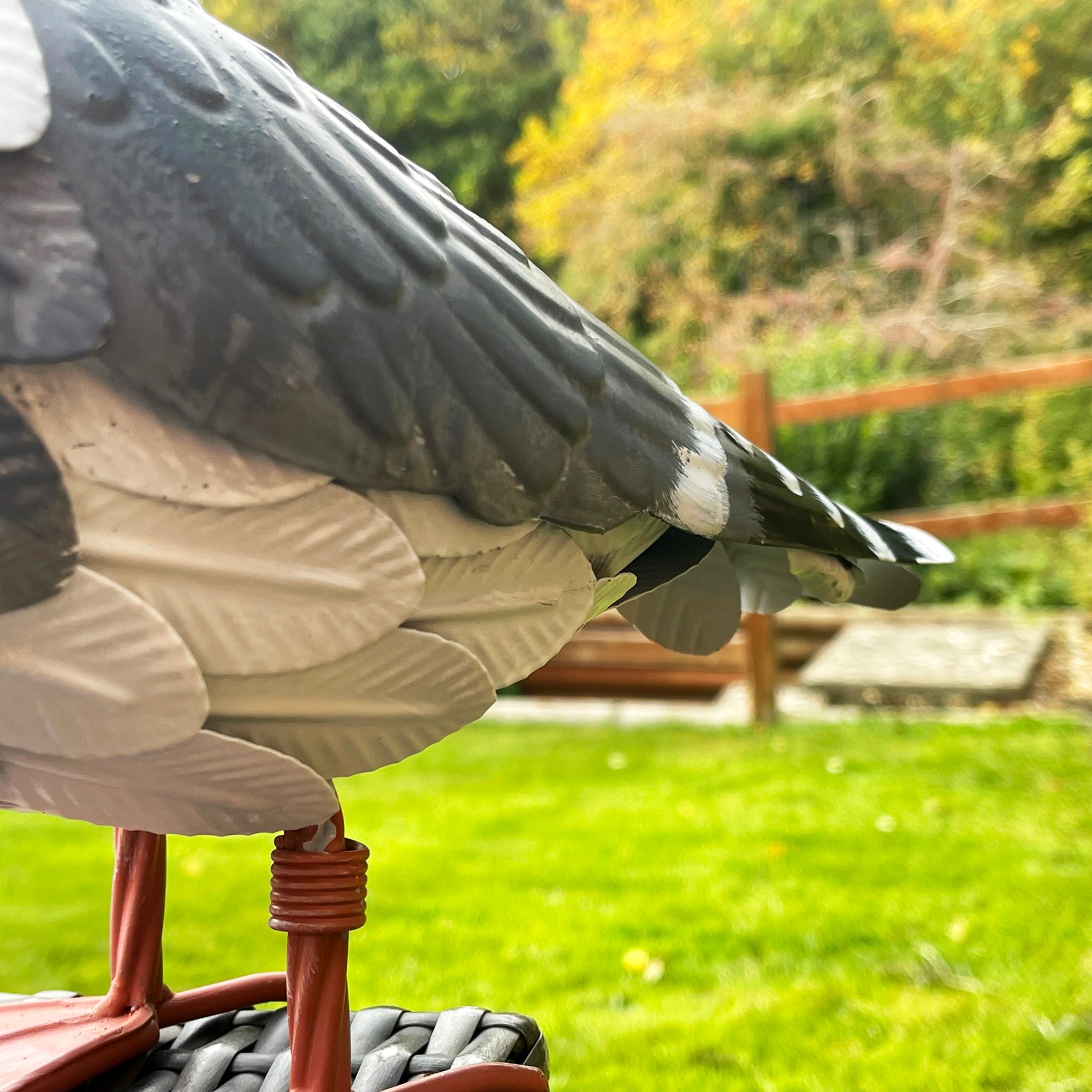 Metal Seagull Garden Sculpture
