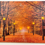 Rechteckige Autumn Avenue LED-Leinwand-Wandkunst, 60 cm