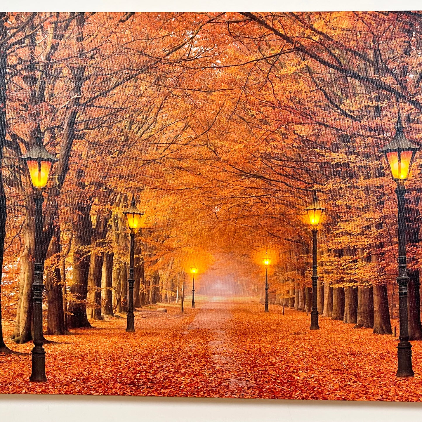 Rectangular Autumn Avenue LED Canvas Wall Art 60cm