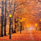 Rechteckige Autumn Avenue LED-Leinwand-Wandkunst, 60 cm