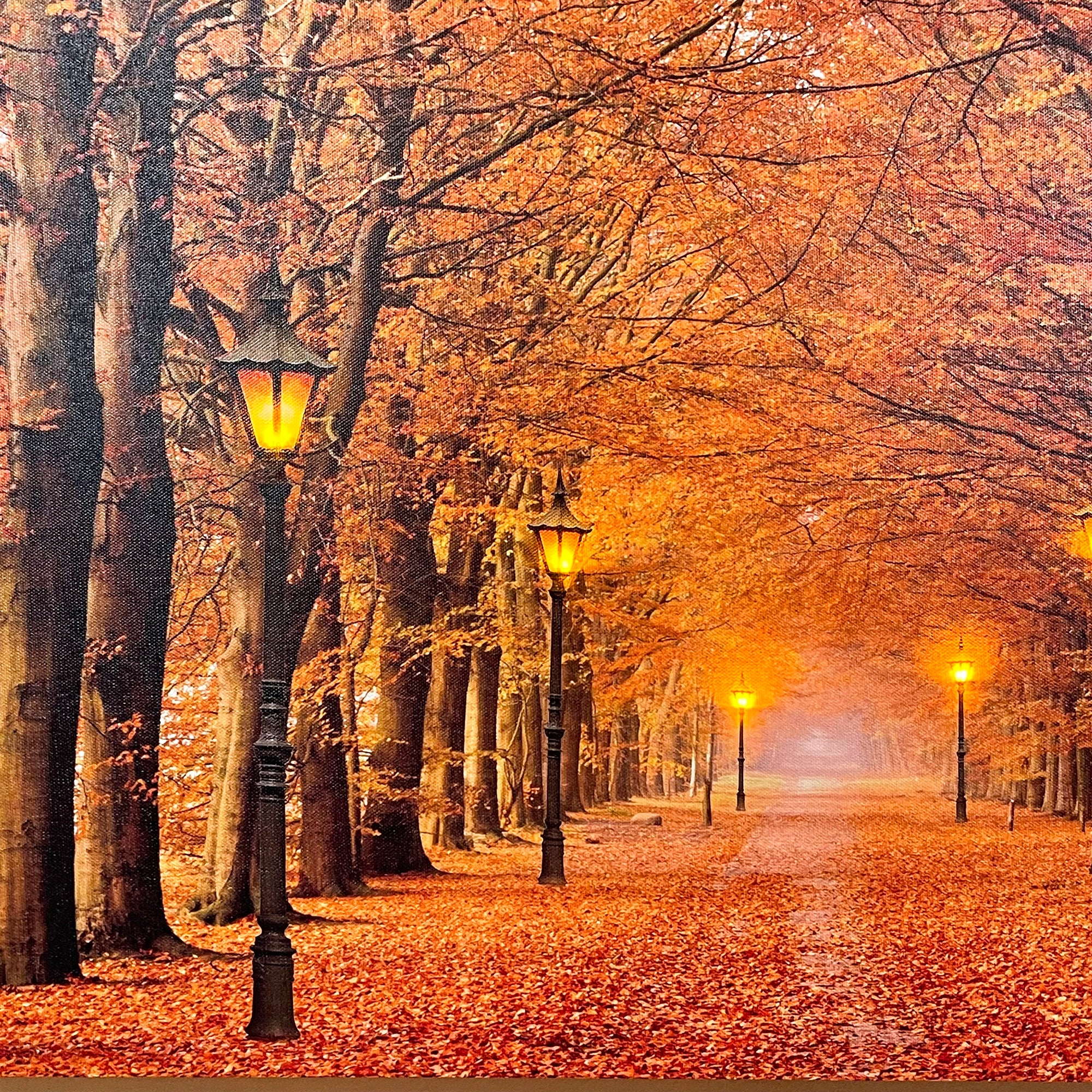 Rectangular Autumn Avenue LED Canvas Wall Art 60cm