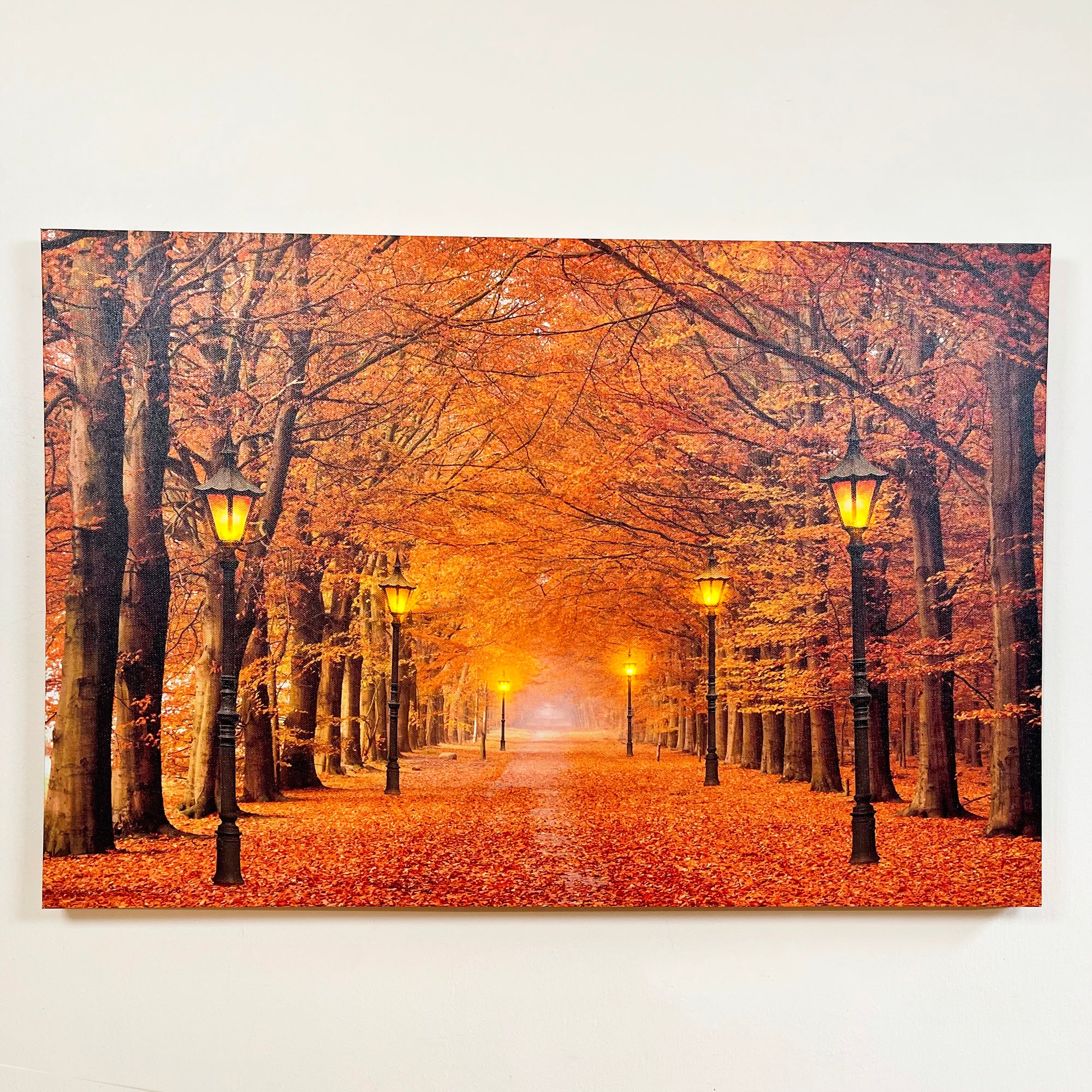 Rectangular Autumn Avenue LED Canvas Wall Art 60cm