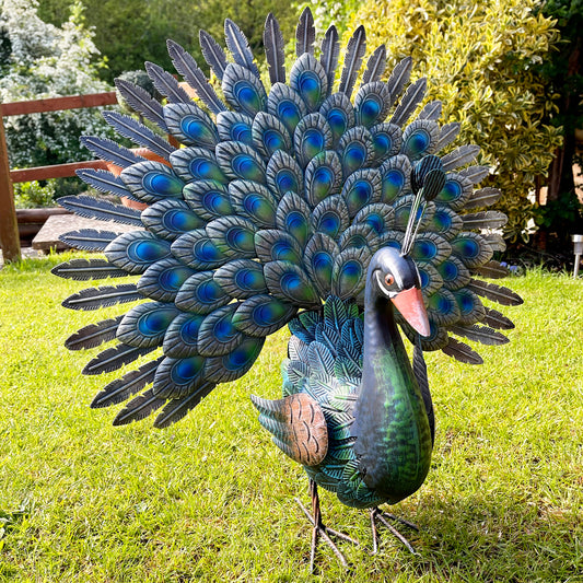 Fan Tailed Peacock Garden Ornament