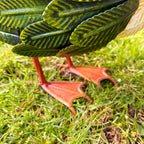 Light Brown Mallard Duck Garden Ornament