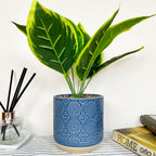 Artificial Dieffenbachia In Blue Pot