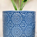 Artificial Dieffenbachia In Blue Pot