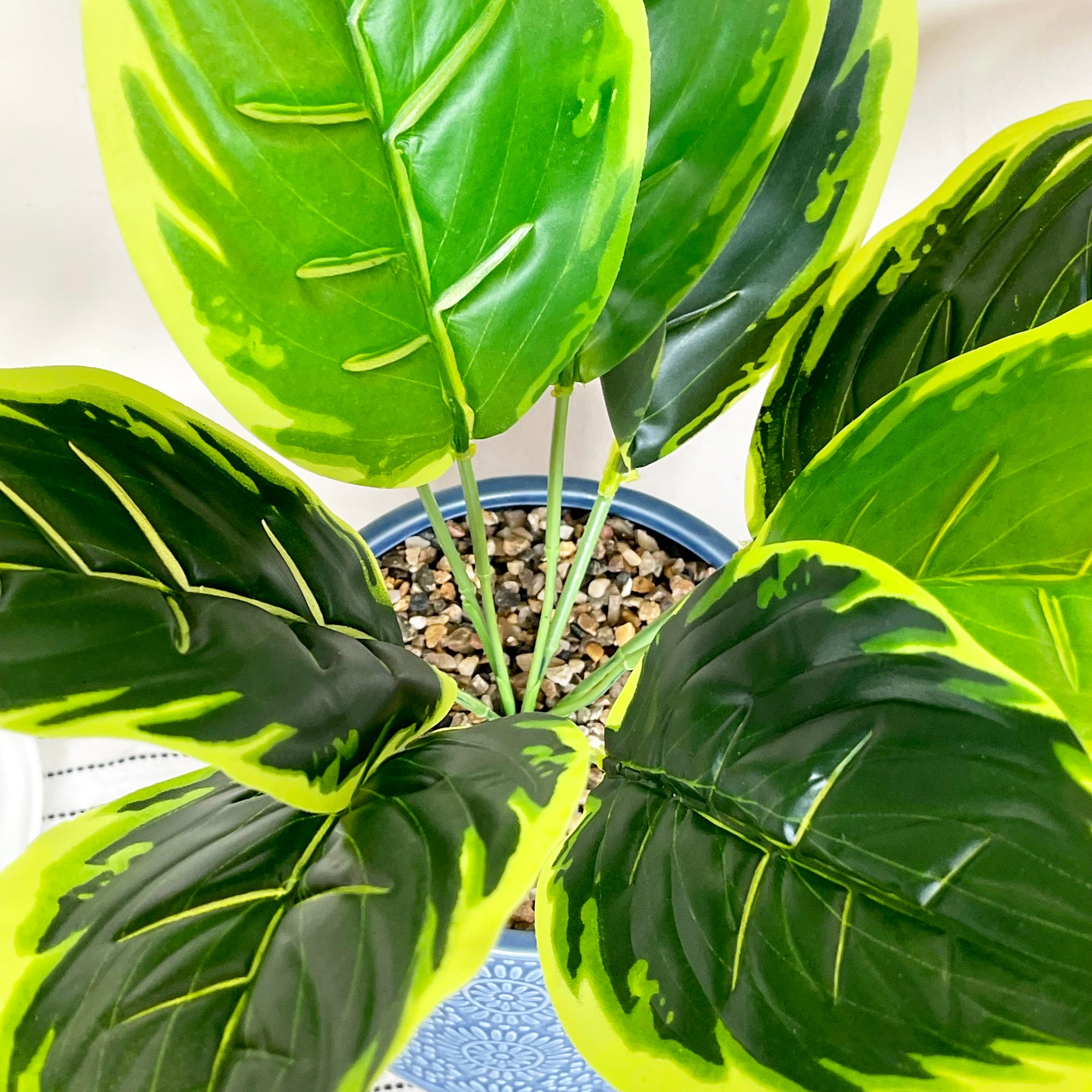Artificial Dieffenbachia In Blue Pot