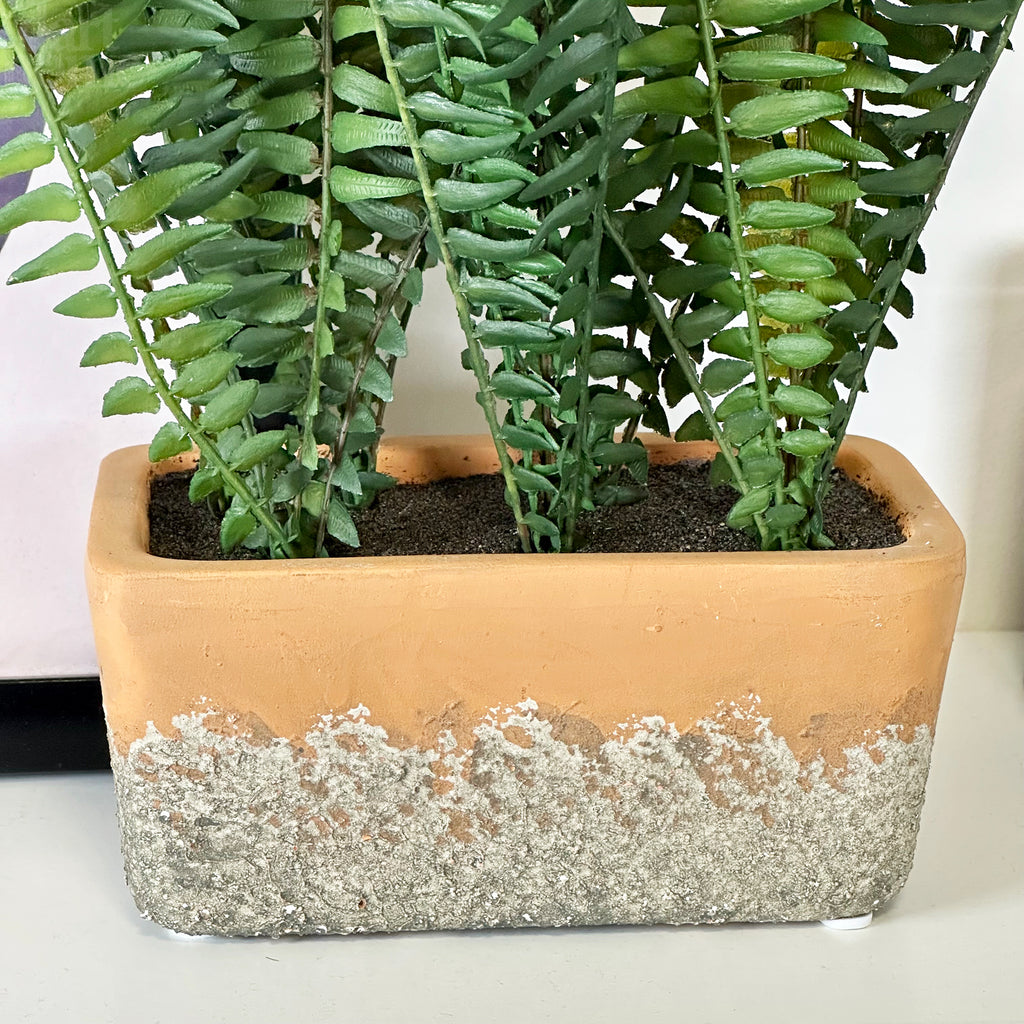 Faux Potted Fern Plant In Terracotta Pot