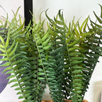 Faux Potted Fern Plant In Terracotta Pot