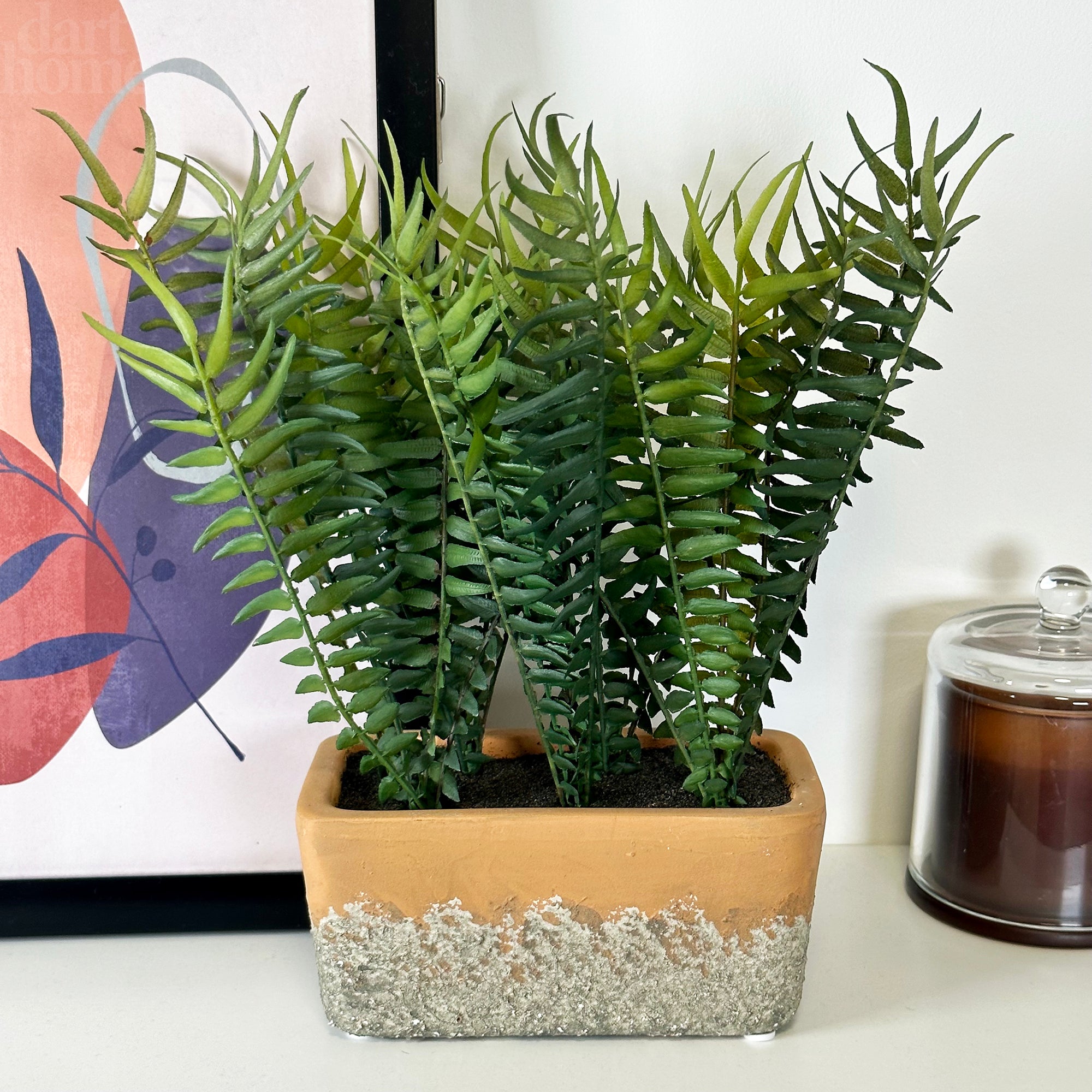 Faux Potted Fern Plant In Terracotta Pot