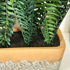 Faux Potted Fern Plant In Terracotta Pot