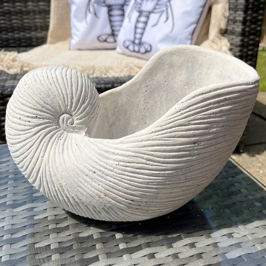 Terracotta White Shell Planter