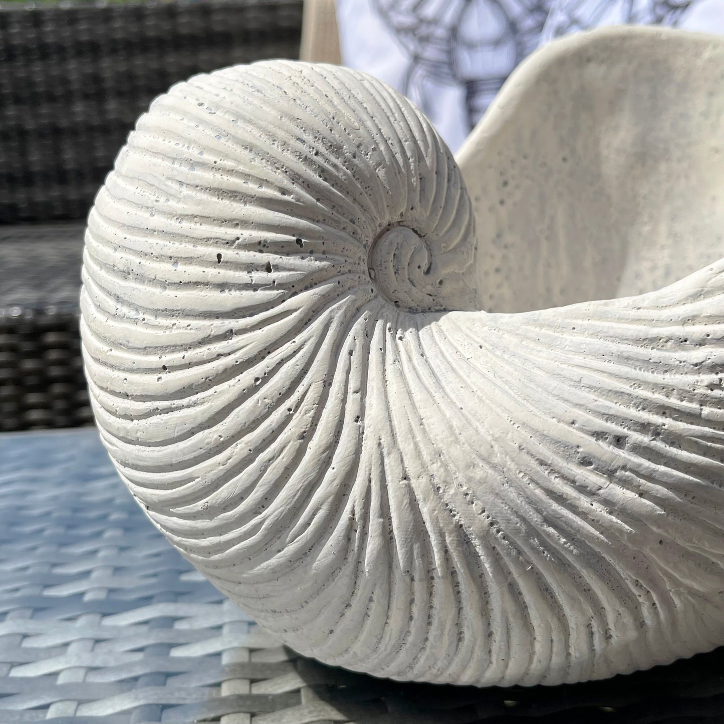 Terracotta White Shell Planter