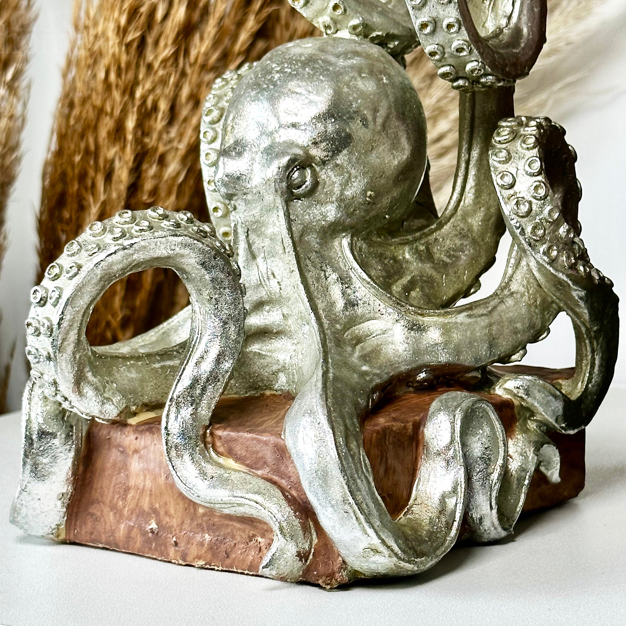 Silberne Oktopus-Buchstützen