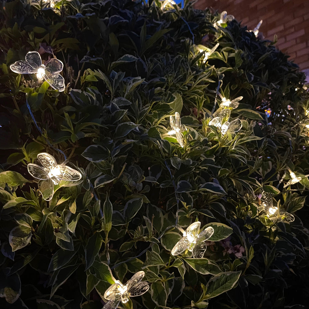 20 Butterfly Solar Outdoor String Lights