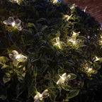 20 Butterfly Solar Outdoor String Lights