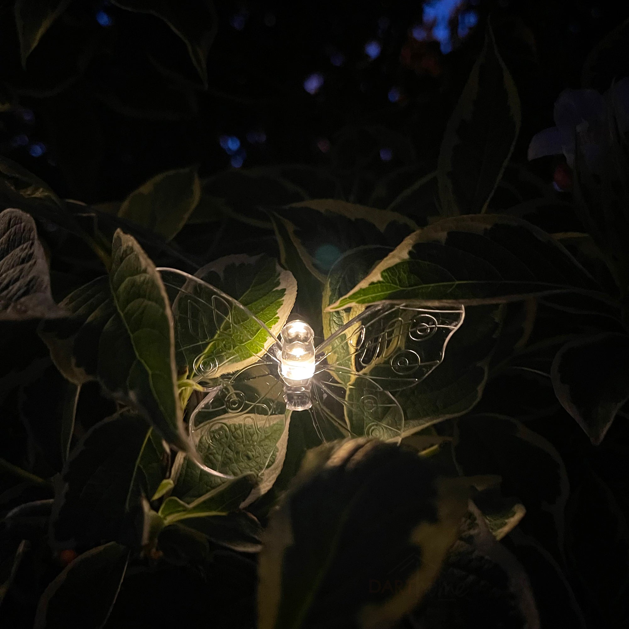 20 Butterfly Solar Outdoor String Lights