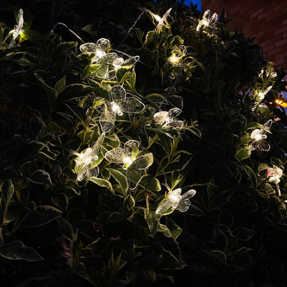 20 Schmetterlings-Solar-Außenlichterketten