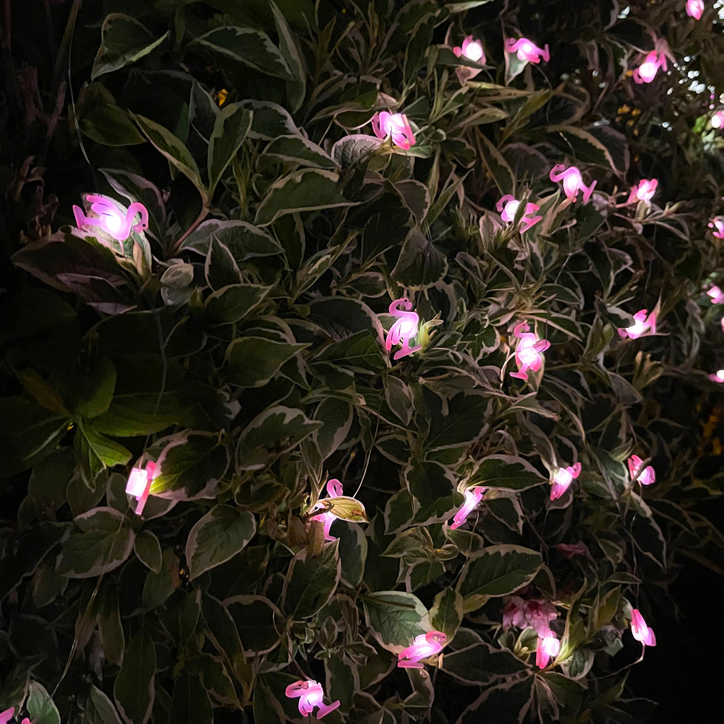50 Flamingo-Solar-Außenlichterketten