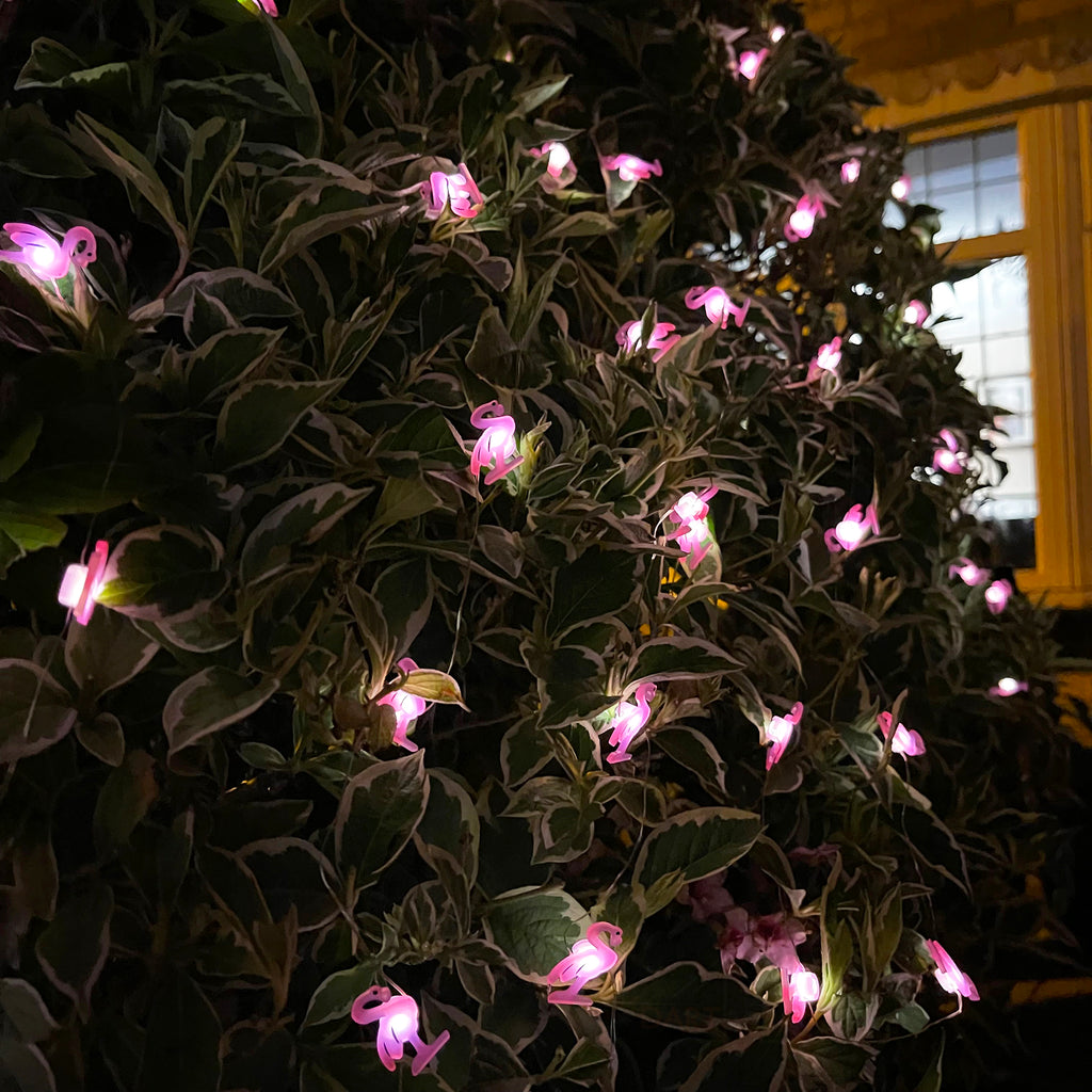 50 Flamingo-Solar-Außenlichterketten