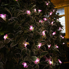 50 Flamingo-Solar-Außenlichterketten