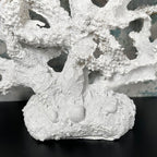 Feuerkorallenskulptur aus weißem Kunstharz