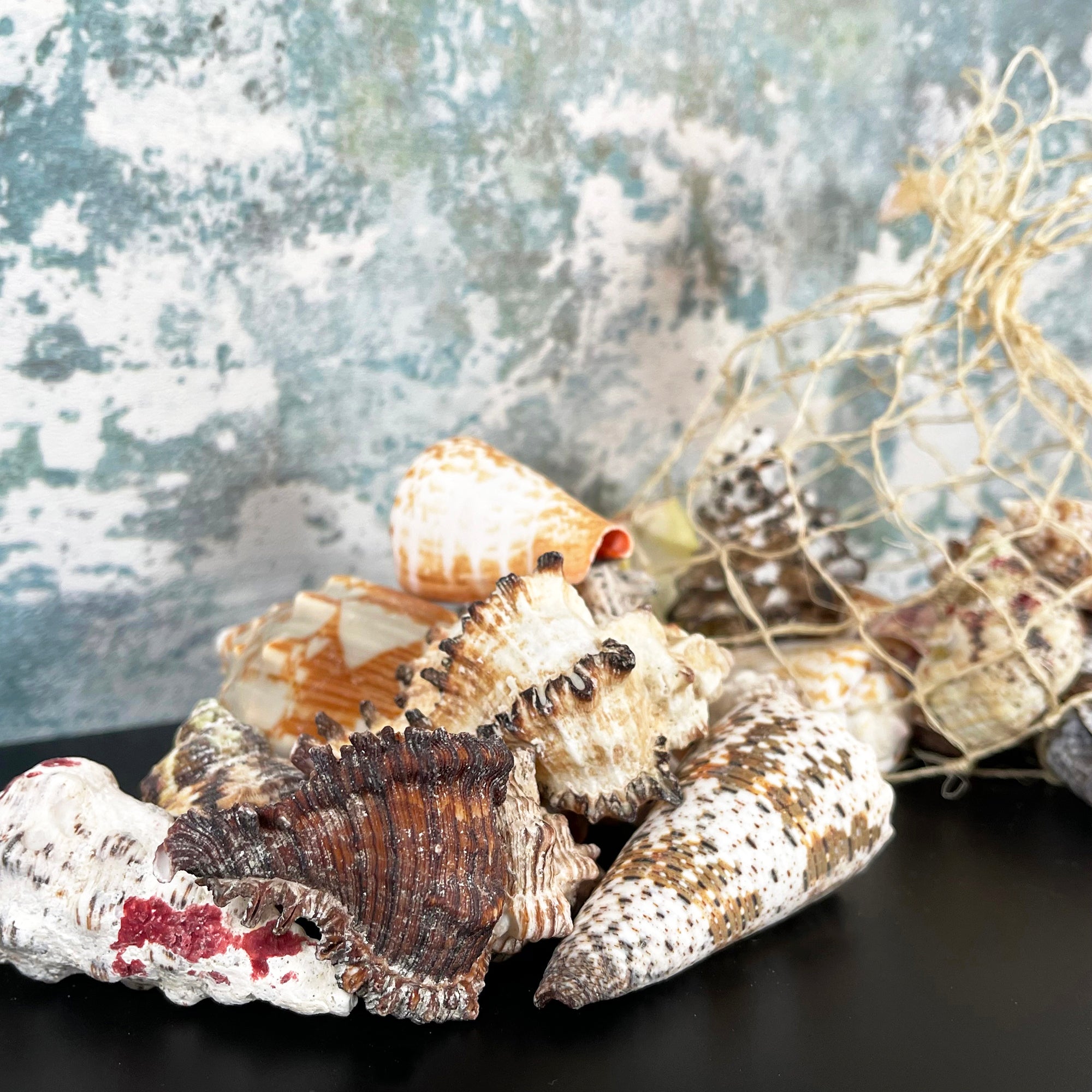 Mixed Natural Sea Shells Fish Net Bag 700g