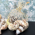 Mixed Natural Sea Shells Fish Net Bag 700g